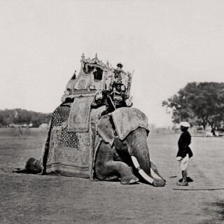 _89445071_53f110e6-e8b6-466c-bc1b-ce6733c47a24