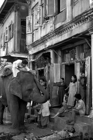 an-elephant-collects-tips-from-the-prostitutes-on-falkland-road-for-good-luck-mumbai-1980_u-l-pjky140.jpg