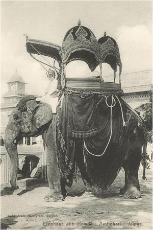 elephant-with-howdah-amhehari-india_u-l-q1k4wns0.jpg