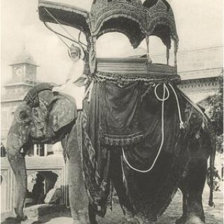 elephant-with-howdah-amhehari-india_u-l-q1k4wns0